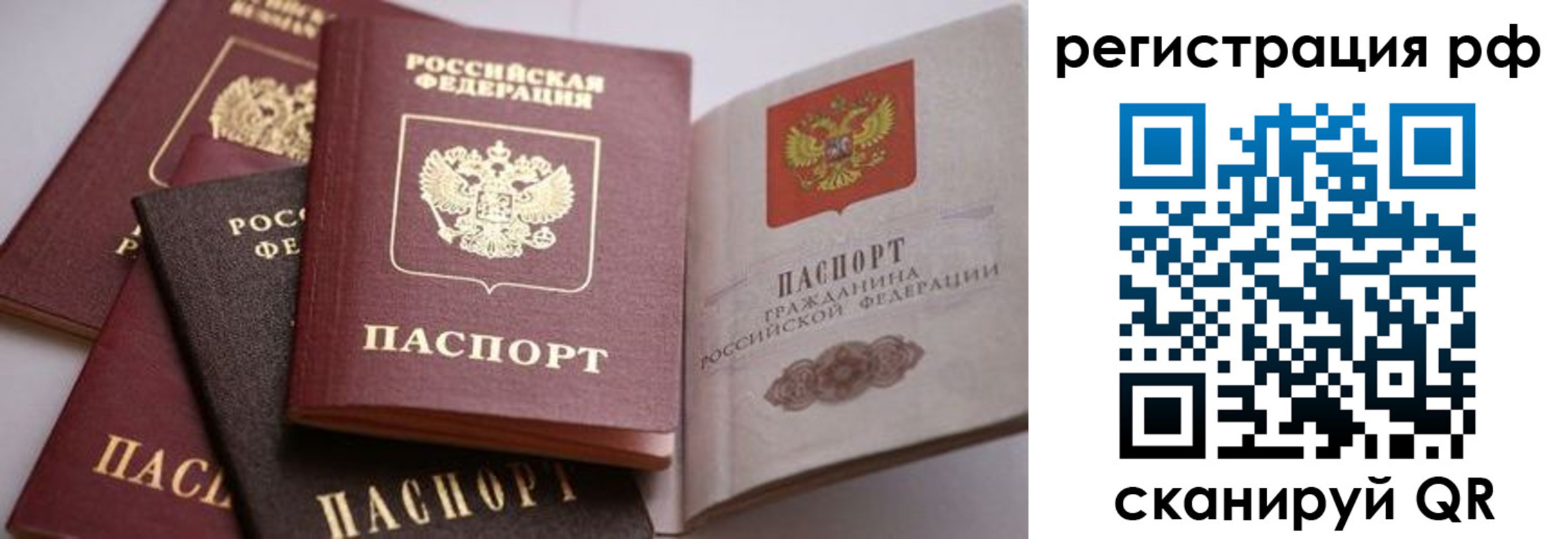 прописка штамп в Благовещенске
